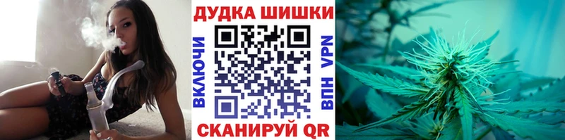 магазин продажи наркотиков  Сланцы  МАРИХУАНА SATIVA & INDICA 